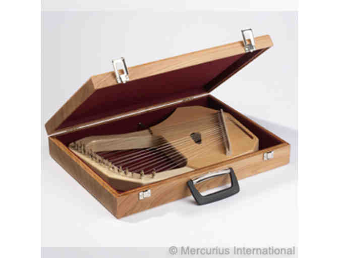 Mercurius $250 Gift Certificate for Quality Waldorf Supplies!