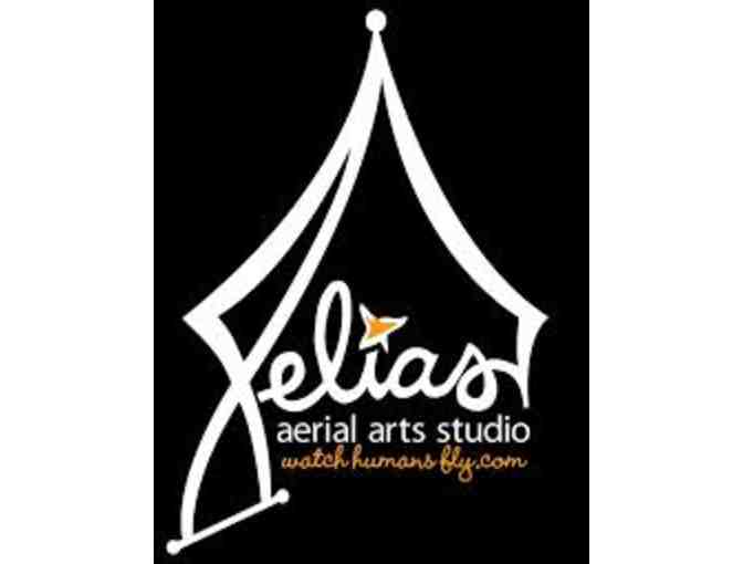 Xelias Aerial Arts Circus Class $50 Gift Certificate