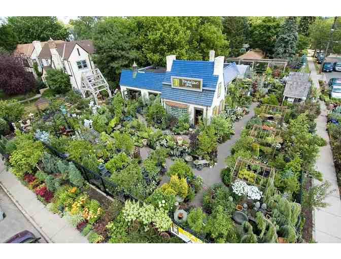 Tangletown Gardens Gift Certificate