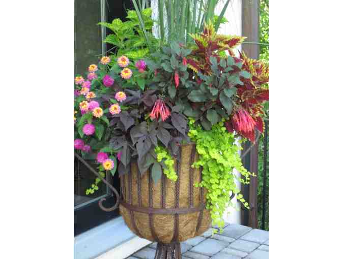 Sunnyside Gardens $30 Gift Certificate