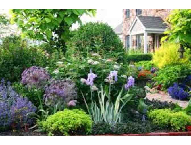 Morning Dew Gardening and Home Maintenance (aka Mr. Tal) FOUR HOUR Gift Certificate