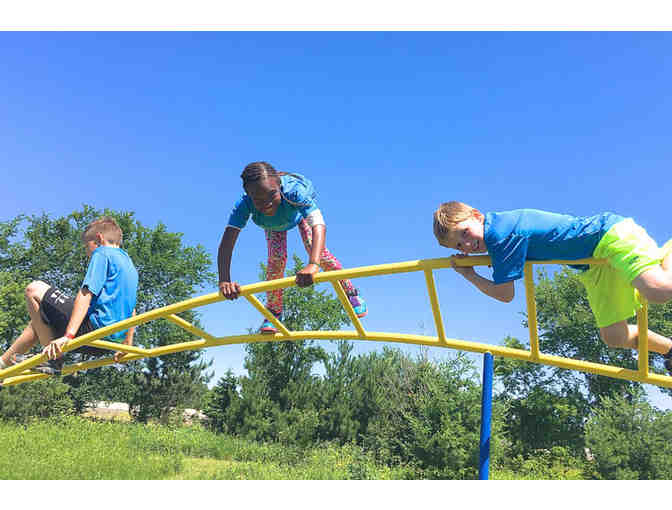 Forget Everything and Join the Circus! Round-Trip Art Tour Experience