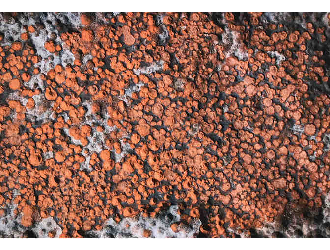 'Lake Superior Rocks, MN' by Jessica Crawford