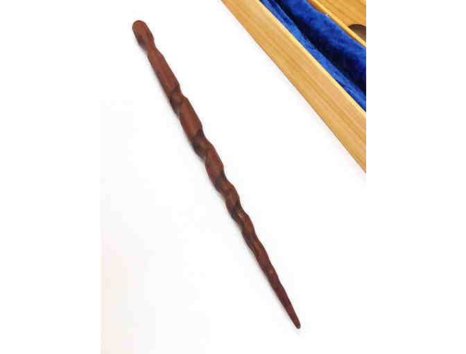 Magic Wand with Wooden Case by Kevin Kane