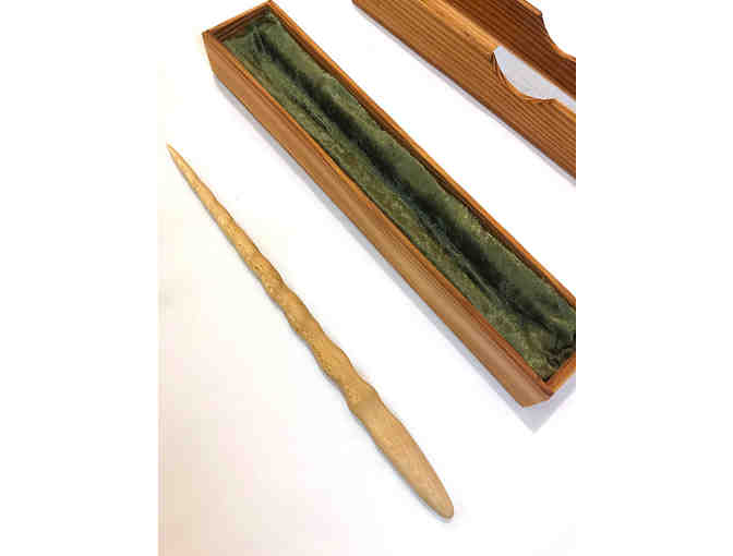Magic Wand with Wooden Case