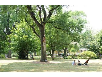 Summer Birthday Art-Party on Governors Island