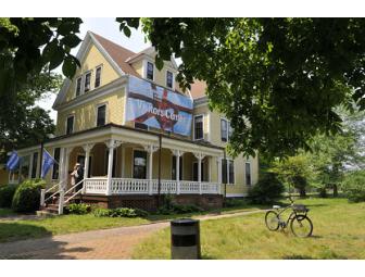 Summer Birthday Art-Party on Governors Island