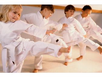 One Month of Martial Arts Classes