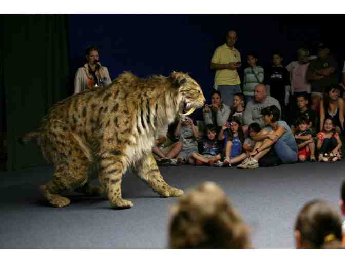 Tour of Jim Henson Company Workshop