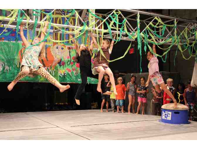 SLAM Summer Camp, the Circus Camp for Kids!