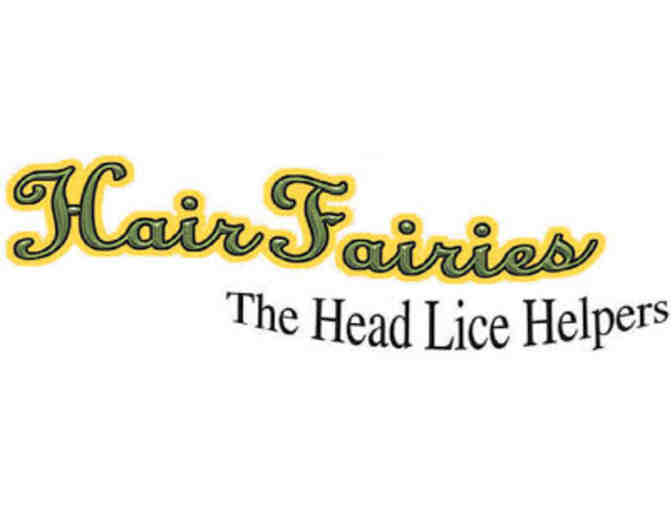 Home Kit and 2 Head Screenings at Hair Fairies Inc