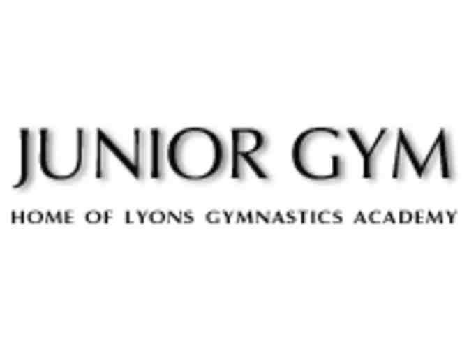 one 8 week Session at Junior Gym-Van Nuys