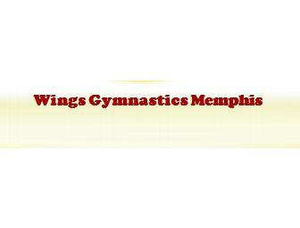 Gymnastics Classes for One Month at Wings Gymnastics
