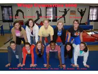 Gymnastics Classes for One Month at Wings Gymnastics