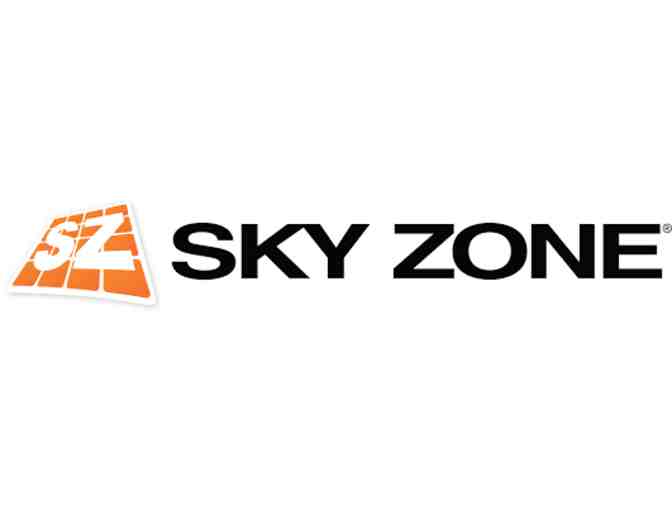 Sky Zone (6) One Hour Jump Passes