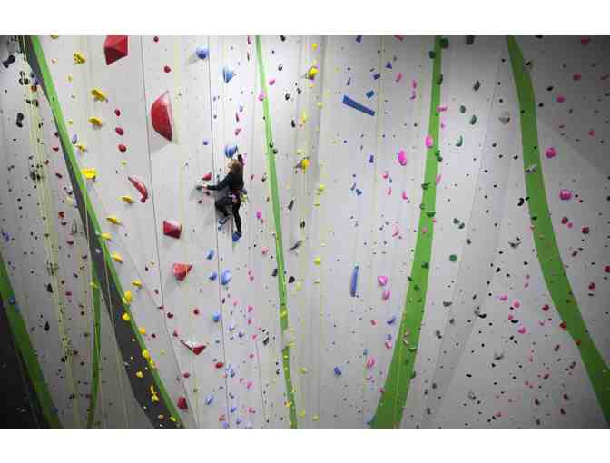 Experience a day of Rock Climbing