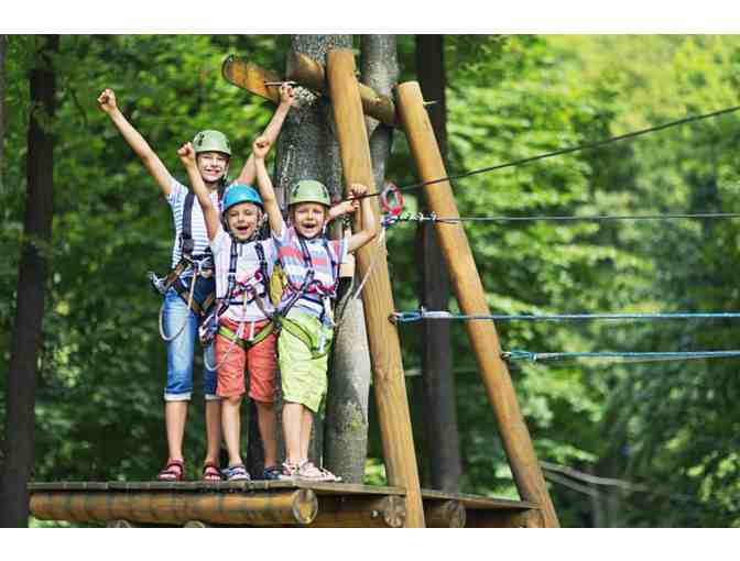 Treetop Journey with Go Ape Zipline and Adventure Park- 2 passes