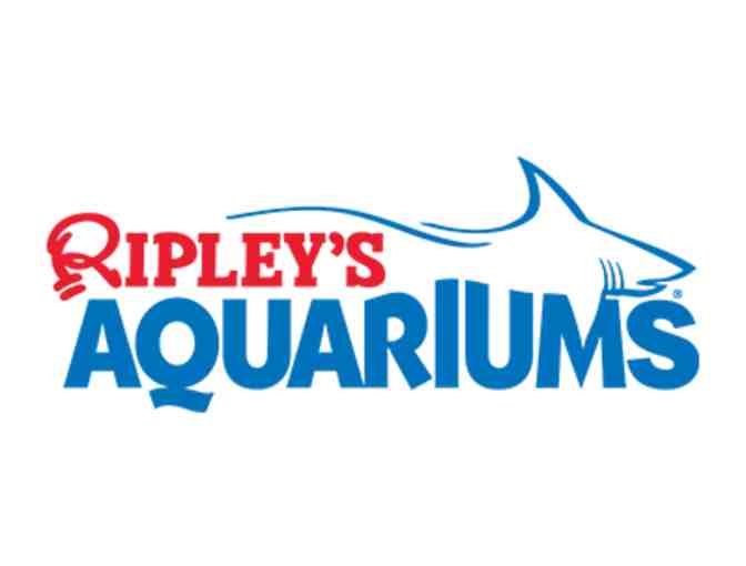 10,000 Sea Creatures!! Ripley's Aquarium of the Smokies 2 Tickets - Photo 1