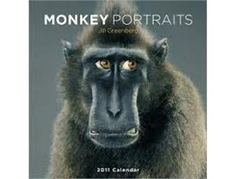 Monkey Portraits by Jill Greenberg (signed copy)