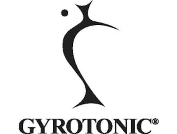 CT Wellness - 3 Gyrotonic Session (30 minutes each)