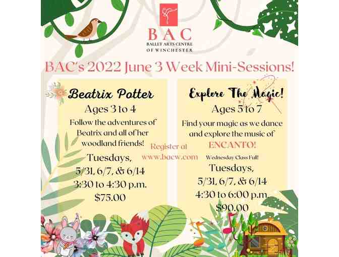 Pre- Summer 2022 Ballet Mini Session (ages 3-7) at Ballet Arts Centre of Winchester