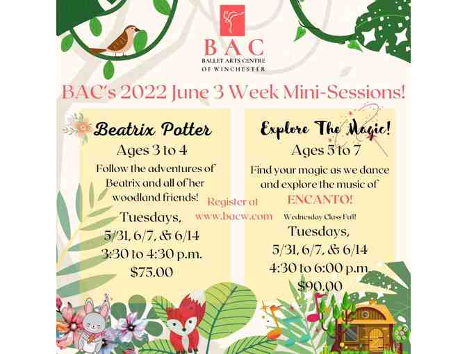 Spring 2022 Ballet Mini Session (ages 3-7) at Ballet Arts Centre of Winchester