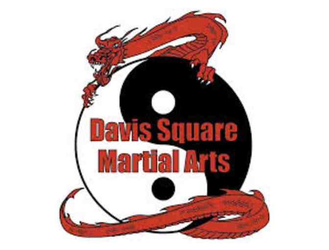 One Month Adult Classes at Davis Square Martial Arts - Photo 1