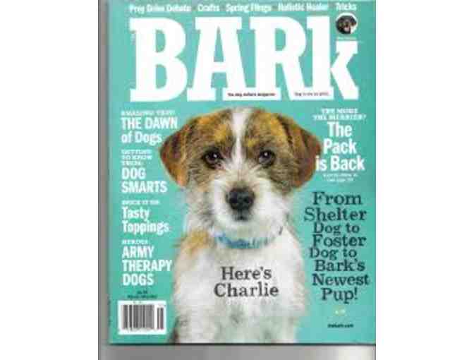 Year Subscription to 'The Bark' Magazine