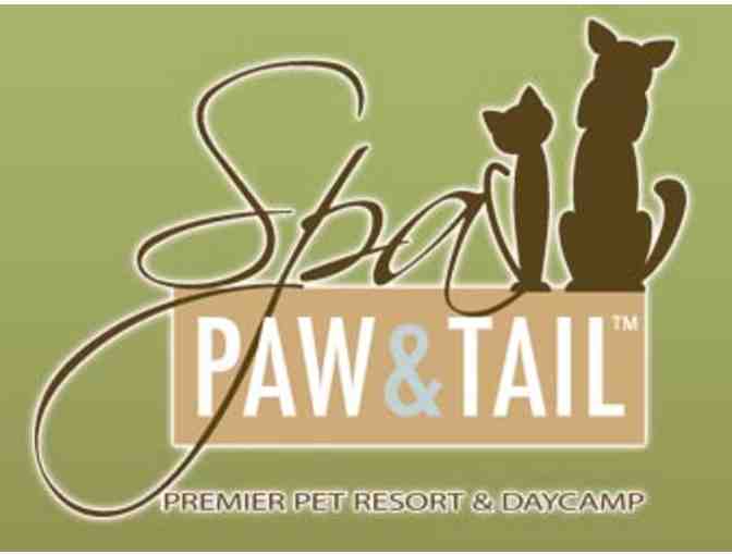 $100 Gift Certificate Spa Paw & Tail - Photo 1