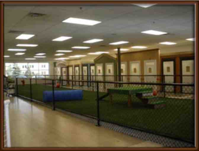 $100 Gift Certificate Spa Paw & Tail