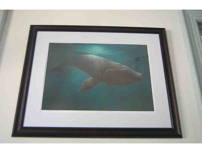 Right Whale Painting by H. Jean Hynes