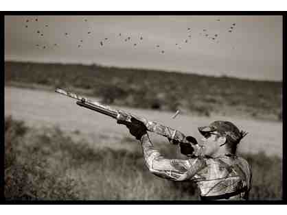 Dove Hunting at Pica Zuro Lodge - ONLINE