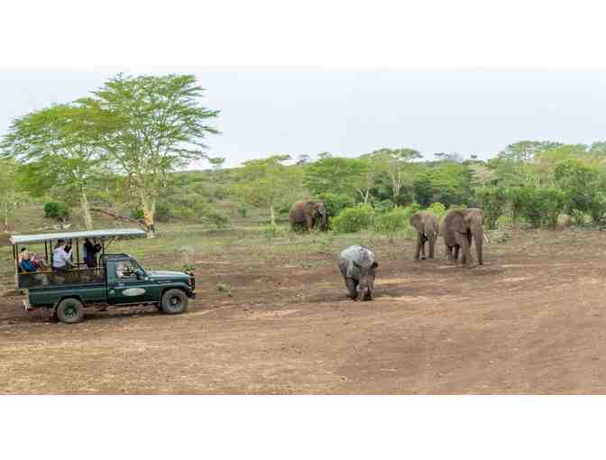 South African Safari for 2 persons - Zulu Nyala (2)