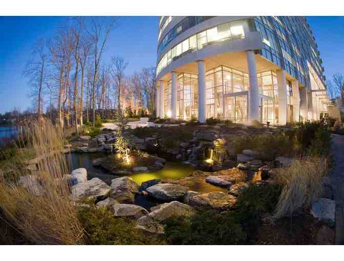 Dinner and Wine Pairing for Four at the 2941