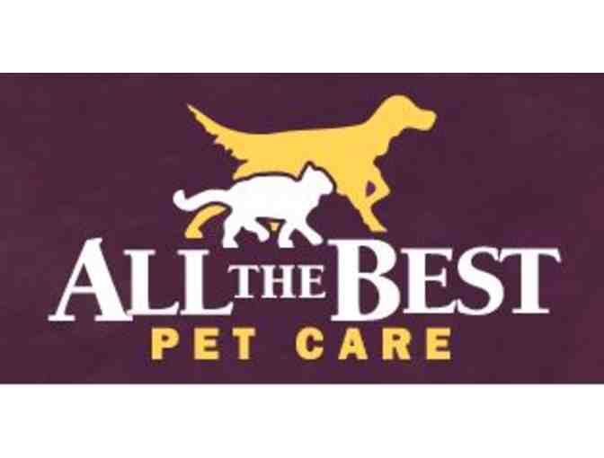 Gourmet Dog Treat Basket from All the Best Pet Care Store