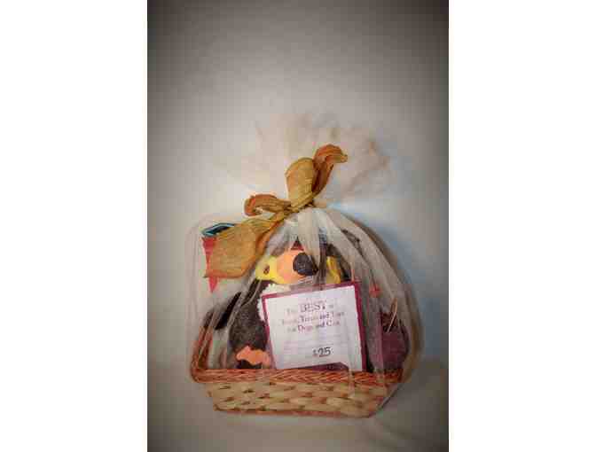 Gourmet Dog Treat Basket from All the Best Pet Care Store