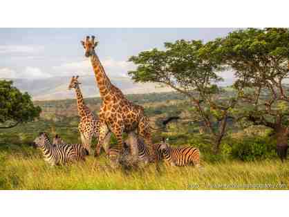 EXPERIENCE AFRICA! - Six Day SAFARI for Two.