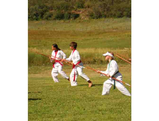 Rocky Mountain Martial Arts - (1) Eight-week Session for Ages 5-7 in Basalt