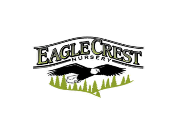 Eagle Crest Nursery gift basket