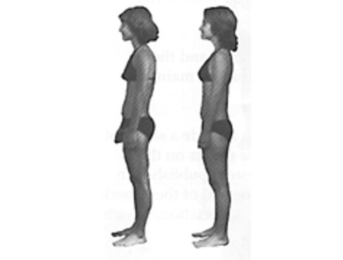 One and a Half hour session of the Rolf Method of Structural Integration