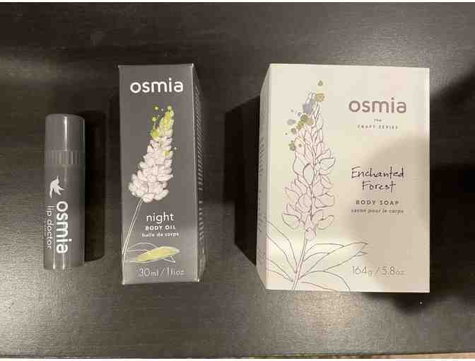 1 Enchanted Forest Body Soap, 1 1oz Night Body Oil and 1 Lip Balm from Osmia Organics