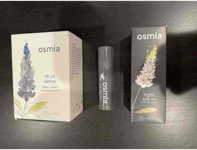 1 Oh So Detox Body Soap, 1 Lip Balm and 1 1oz Light Body Oil from Osmia Organics