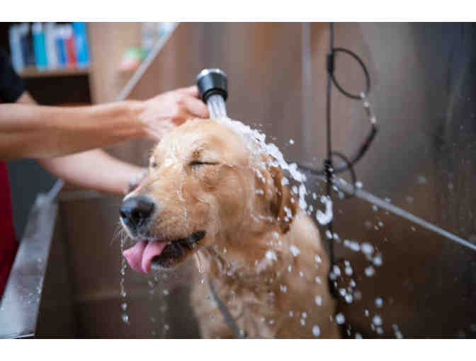 Two $15 gift cards for self serve dog washes at RJ Paddywacks in Basalt