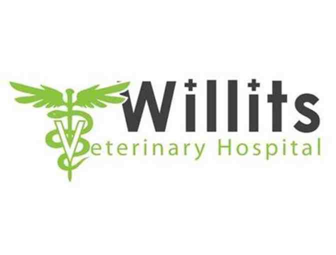 Complete canine/feline dental package from Willits Veterinary Hospital