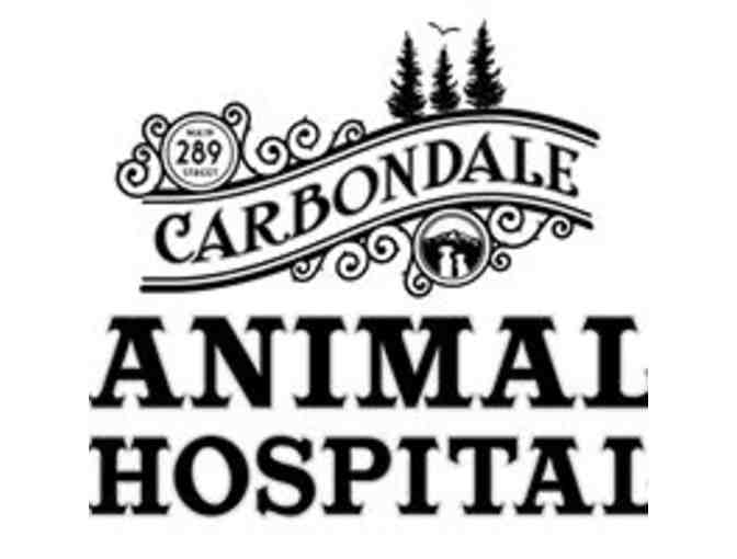 $150 Gift Certificate to Carbondale Animal Hospital - Photo 1