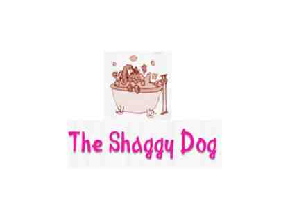 Full Groom by The Shaggy Dog