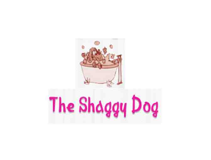 Full Groom by The Shaggy Dog - Photo 1