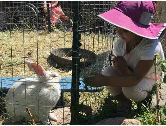 10 Week Farmyard & Me Package for Ages 5 & Under at the Farm Collaborative - Photo 1
