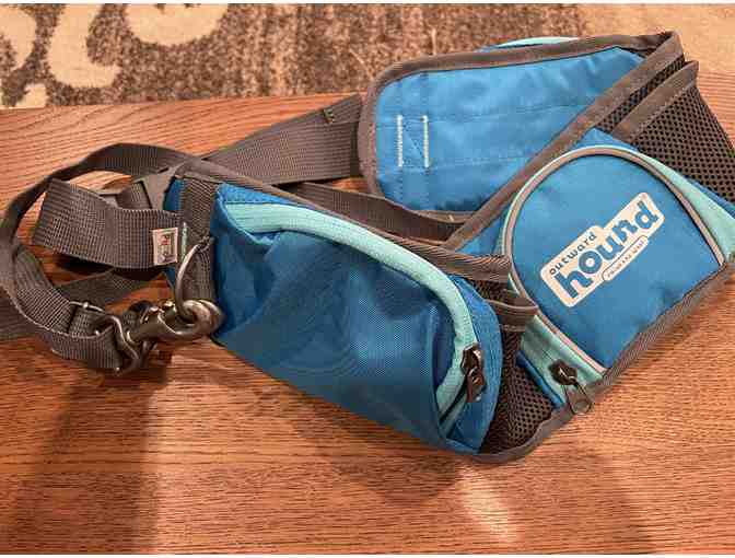 Doggy Heaven- Four self serve dog washes, hiking belt pack, and new collar - Photo 3