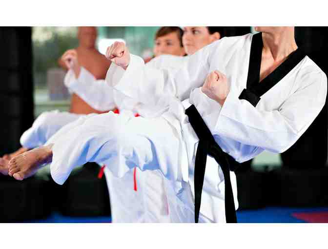 4 Week Taekwondo Trial Program